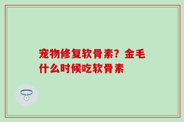宠物修复软骨素？金毛什么时候吃软骨素