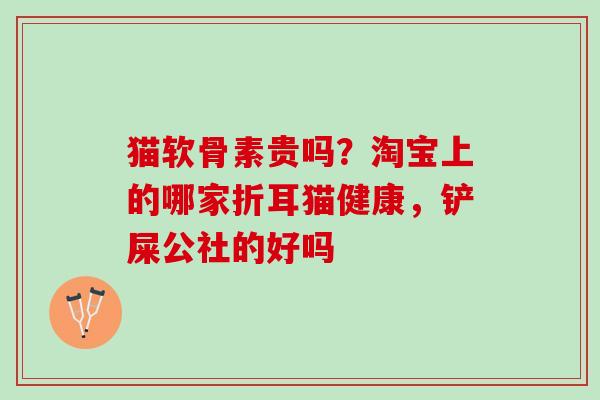 猫软骨素贵吗？淘宝上的哪家折耳猫健康，铲屎公社的好吗