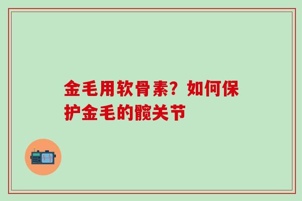金毛用软骨素?如何保护金毛的髋关节 金毛用软骨素?如何保护金毛的髋关节