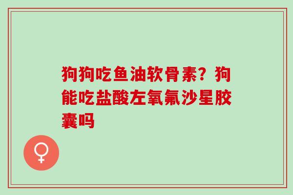 狗狗吃鱼油软骨素？狗能吃盐酸左氧氟沙星胶囊吗