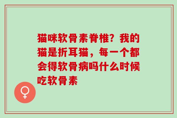 猫咪软骨素脊椎？我的猫是折耳猫，每一个都会得软骨病吗什么时候吃软骨素