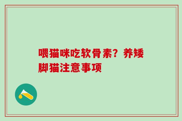 喂猫咪吃软骨素？养矮脚猫注意事项