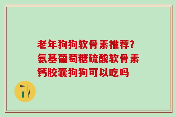 老年狗狗软骨素推荐？氨基葡萄糖硫酸软骨素钙胶囊狗狗可以吃吗