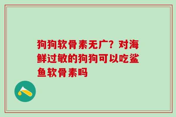 狗狗软骨素无广？对海鲜过敏的狗狗可以吃鲨鱼软骨素吗