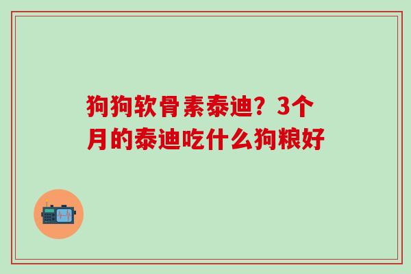 狗狗软骨素泰迪？3个月的泰迪吃什么狗粮好 