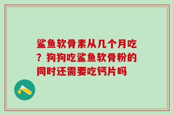 鲨鱼软骨素从几个月吃？狗狗吃鲨鱼软骨粉的同时还需要吃钙片吗