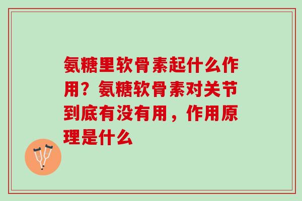 氨糖里软骨素起什么作用?氨糖软骨素对关节到底有没有用,作用原理是什么 氨糖里软骨素起什么作用?氨糖软骨素对关节到底有没有用,作用原理是什么