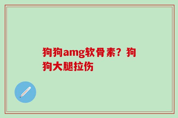 狗狗amg软骨素？狗狗大腿拉伤