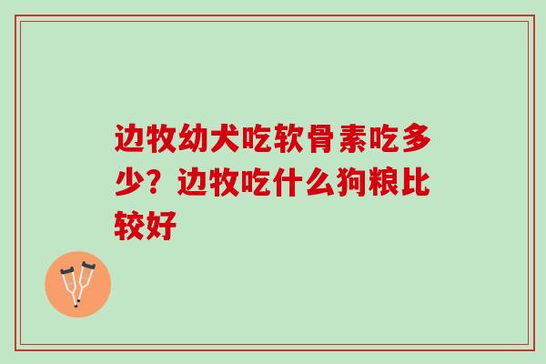 边牧幼犬吃软骨素吃多少？边牧吃什么狗粮比较好