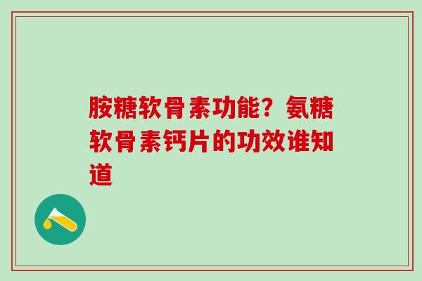 胺糖软骨素功能？氨糖软骨素钙片的功效谁知道