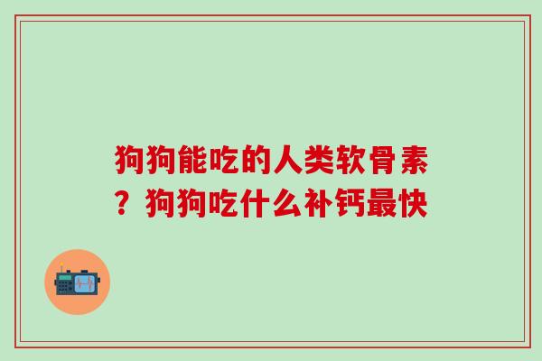狗狗能吃的人类软骨素？狗狗吃什么补钙最快