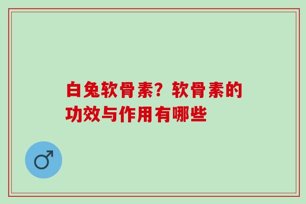 白兔软骨素？软骨素的功效与作用有哪些