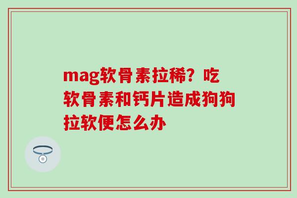 mag软骨素拉稀？吃软骨素和钙片造成狗狗拉软便怎么办