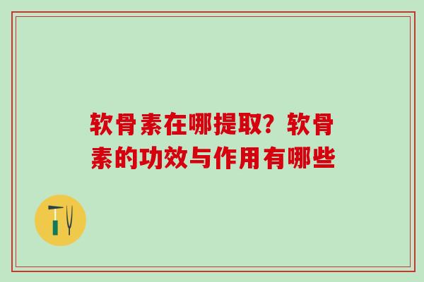 软骨素在哪提取?软骨素的功效与作用有哪些 软骨素在哪提取?软骨素的功效与作用有哪些
