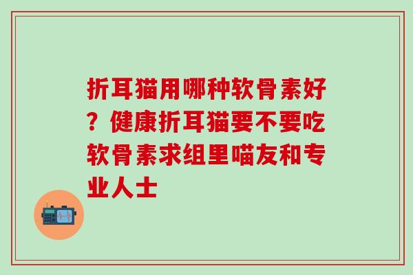 折耳猫用哪种软骨素好？健康折耳猫要不要吃软骨素求组里喵友和专业人士