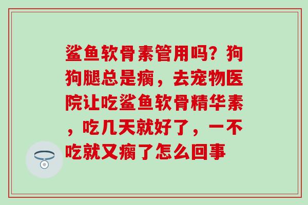 鲨鱼软骨素管用吗？狗狗腿总是瘸，去宠物医院让吃鲨鱼软骨精华素，吃几天就好了，一不吃就又瘸了怎么回事