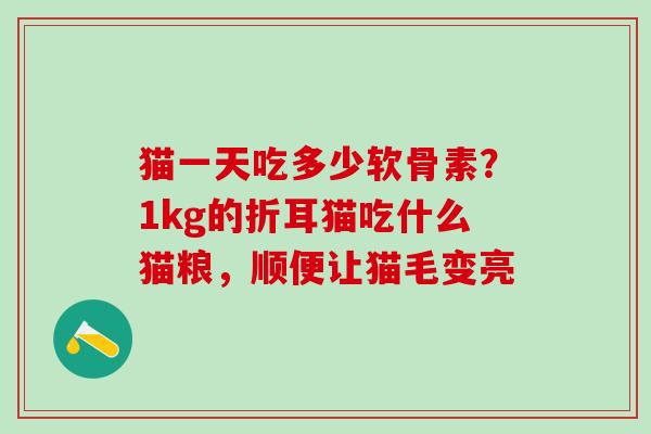 猫一天吃多少软骨素？1kg的折耳猫吃什么猫粮，顺便让猫毛变亮