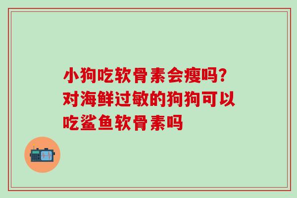 小狗吃软骨素会瘦吗？对海鲜过敏的狗狗可以吃鲨鱼软骨素吗