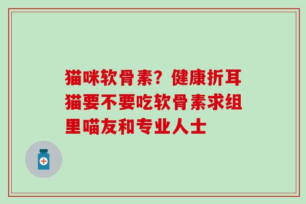 猫咪软骨素？健康折耳猫要不要吃软骨素求组里喵友和专业人士