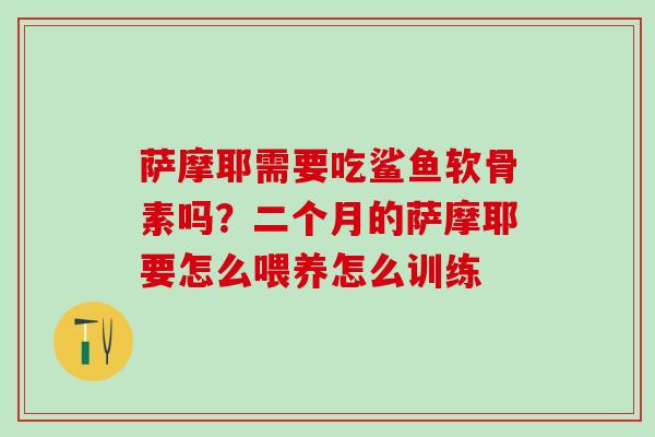 萨摩耶需要吃鲨鱼软骨素吗？二个月的萨摩耶要怎么喂养怎么训练