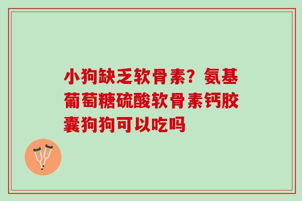 小狗缺乏软骨素？氨基葡萄糖硫酸软骨素钙胶囊狗狗可以吃吗