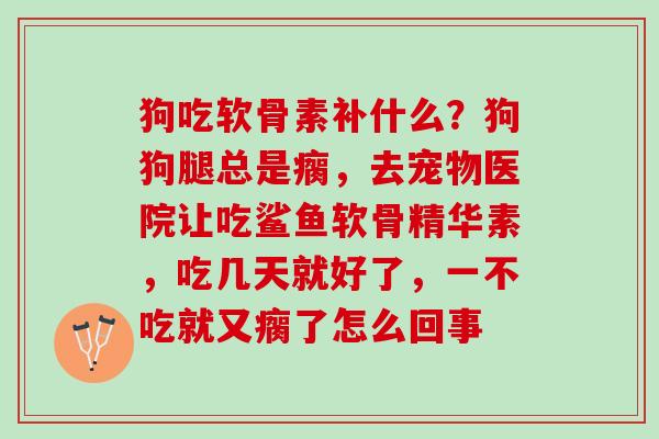 狗吃软骨素补什么？狗狗腿总是瘸，去宠物医院让吃鲨鱼软骨精华素，吃几天就好了，一不吃就又瘸了怎么回事