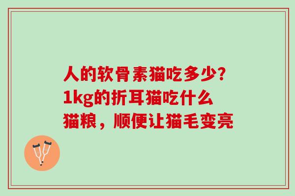 人的软骨素猫吃多少？1kg的折耳猫吃什么猫粮，顺便让猫毛变亮