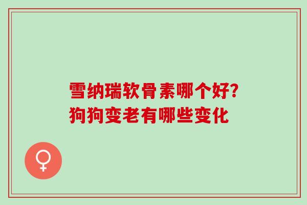 雪纳瑞软骨素哪个好？狗狗变老有哪些变化