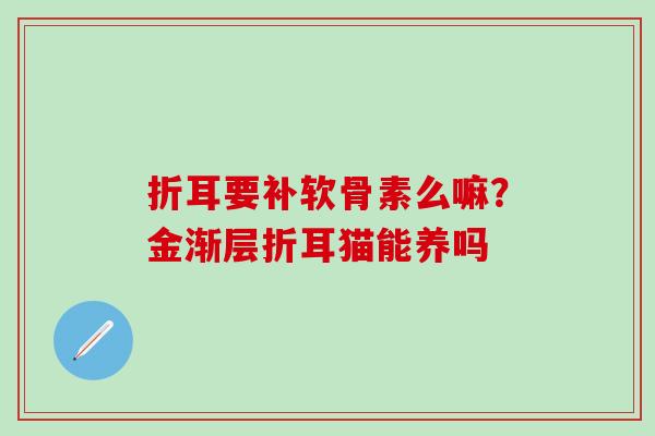 折耳要补软骨素么嘛?金渐层折耳猫能养吗 折耳要补软骨素么嘛?金渐层折耳猫能养吗