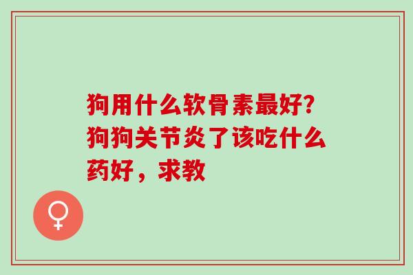 狗用什么软骨素好？狗狗了该吃什么药好，求教