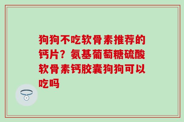狗狗不吃软骨素推荐的钙片？氨基葡萄糖硫酸软骨素钙胶囊狗狗可以吃吗