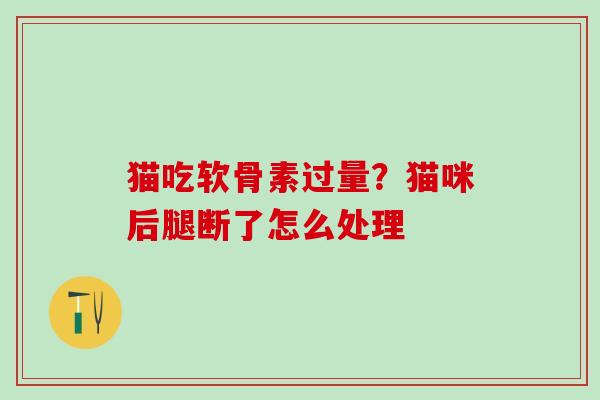 猫吃软骨素过量？猫咪后腿断了怎么处理