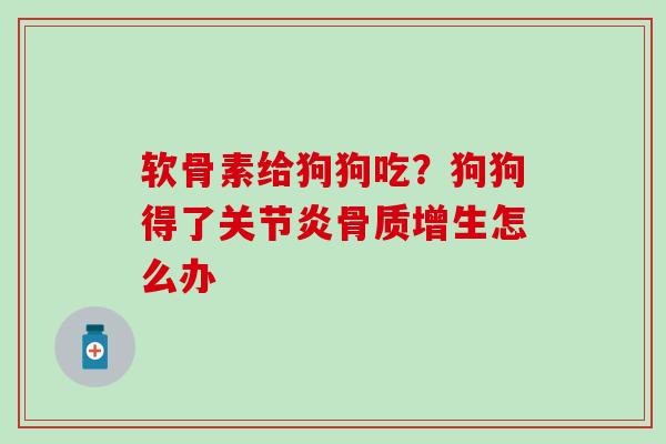 软骨素给狗狗吃？狗狗得了关节炎骨质增生怎么办