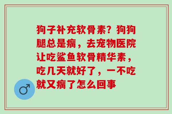 狗子补充软骨素？狗狗腿总是瘸，去宠物医院让吃鲨鱼软骨精华素，吃几天就好了，一不吃就又瘸了怎么回事