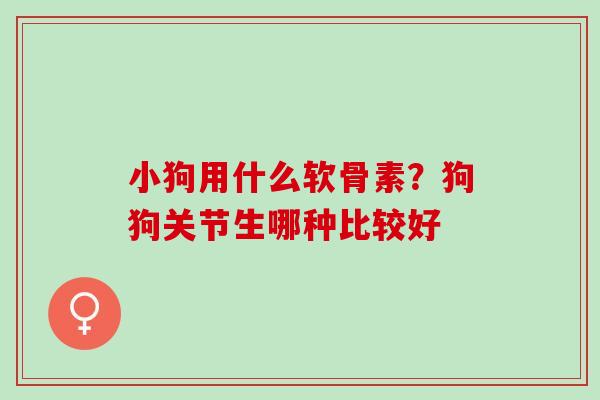 小狗用什么软骨素？狗狗关节生哪种比较好