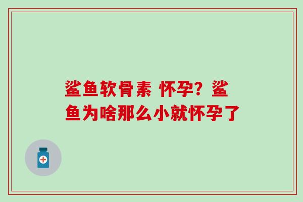 鲨鱼软骨素 怀孕？鲨鱼为啥那么小就怀孕了