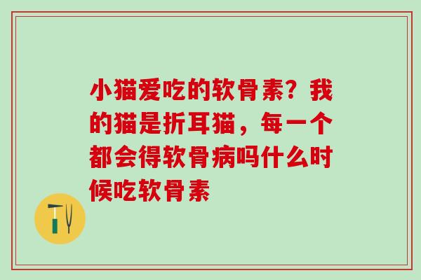 小猫爱吃的软骨素？我的猫是折耳猫，每一个都会得软骨病吗什么时候吃软骨素