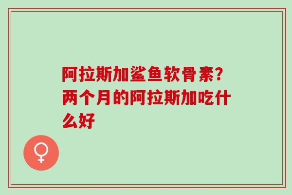 阿拉斯加鲨鱼软骨素？两个月的阿拉斯加吃什么好