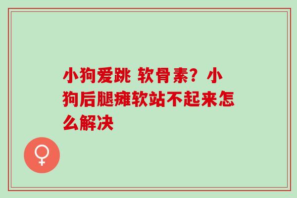 小狗爱跳 软骨素？小狗后腿瘫软站不起来怎么解决