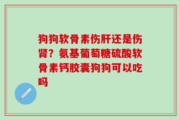 狗狗软骨素伤肝还是伤肾？氨基葡萄糖硫酸软骨素钙胶囊狗狗可以吃吗