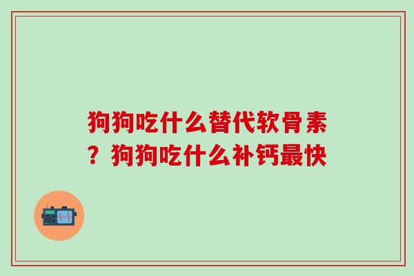 狗狗吃什么替代软骨素？狗狗吃什么补钙最快