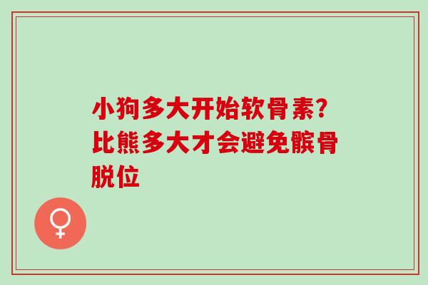 小狗多大开始软骨素?比熊多大才会避免髌骨脱位 小狗多大开始软骨素?比熊多大才会避免髌骨脱位