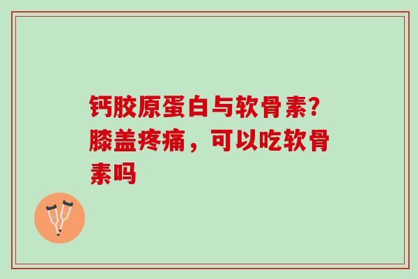 钙胶原蛋白与软骨素？膝盖，可以吃软骨素吗