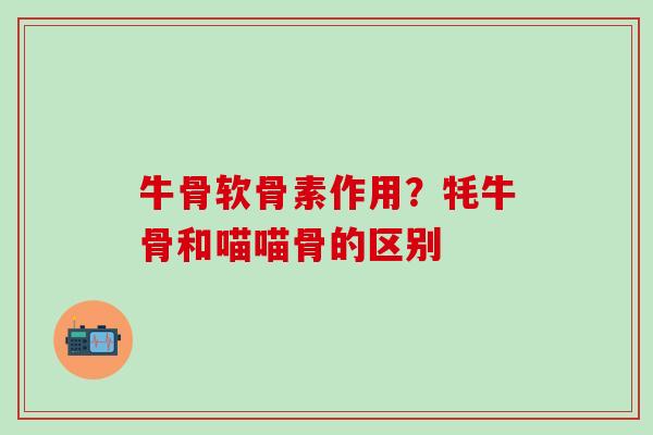 牛骨软骨素作用?牦牛骨和喵喵骨的区别 牛骨软骨素作用?牦牛骨和喵喵骨的区别