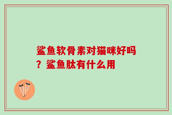 鲨鱼软骨素对猫咪好吗？鲨鱼肽有什么用
