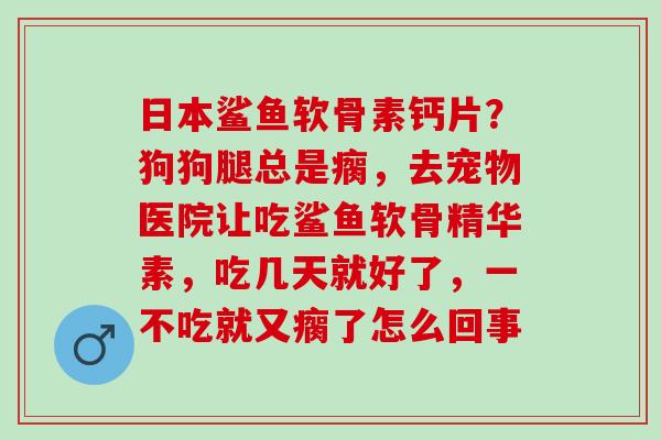 日本鲨鱼软骨素钙片？狗狗腿总是瘸，去宠物医院让吃鲨鱼软骨精华素，吃几天就好了，一不吃就又瘸了怎么回事