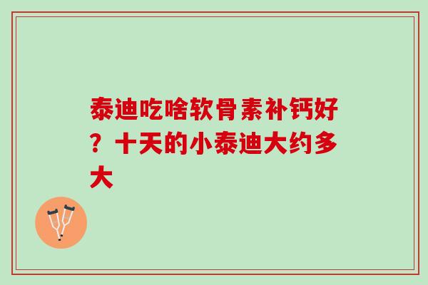 泰迪吃啥软骨素补钙好?十天的小泰迪大约多大 泰迪吃啥软骨素补钙好?十天的小泰迪大约多大