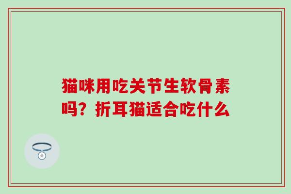 猫咪用吃关节生软骨素吗?折耳猫适合吃什么 猫咪用吃关节生软骨素吗?折耳猫适合吃什么