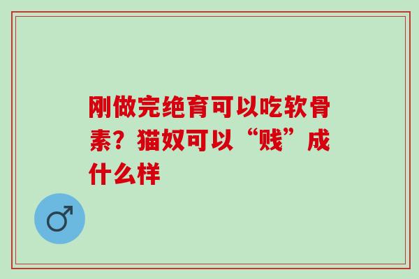 刚做完绝育可以吃软骨素？猫奴可以“贱”成什么样