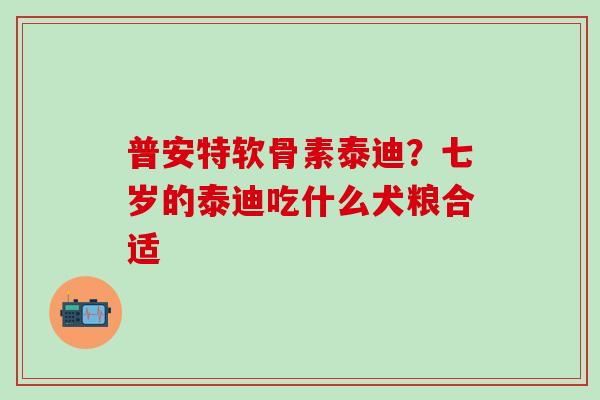 普安特软骨素泰迪？七岁的泰迪吃什么犬粮合适